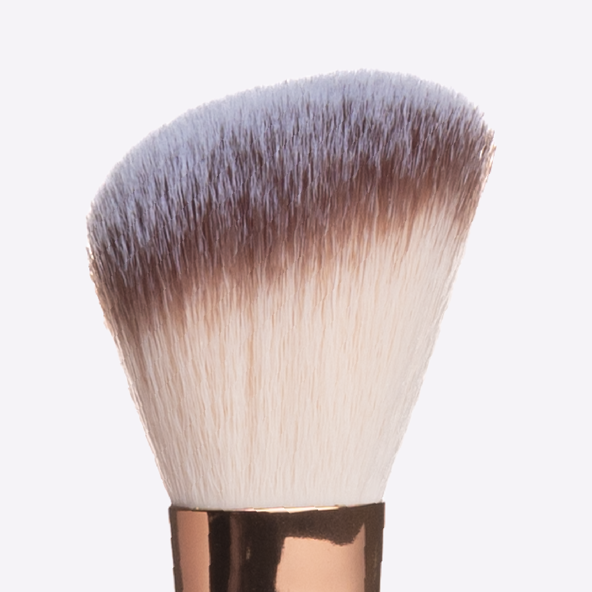 Brush_Close_up_F02
